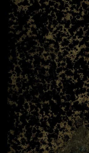 This Time Is Different