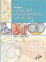 Netter's Concise Orthopaedic Anatomy